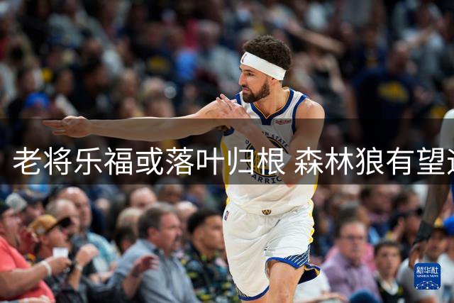 老将乐福或落叶归根 森林狼有望迎回昔日篮板王